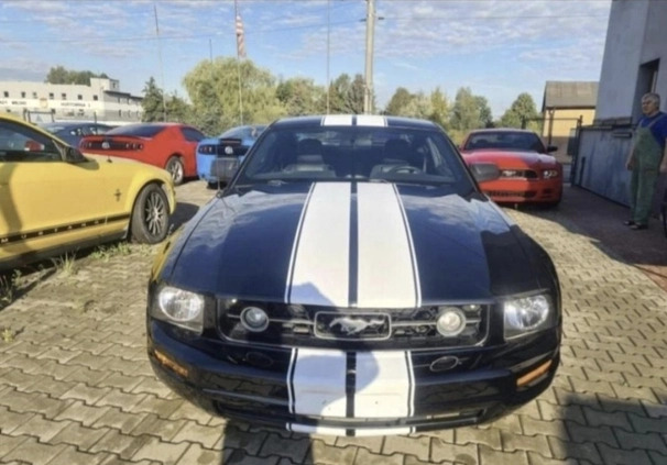 Ford Mustang cena 36800 przebieg: 167300, rok produkcji 2006 z Bieruń małe 56